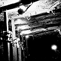 souvenirs en noir et blanc (178)
